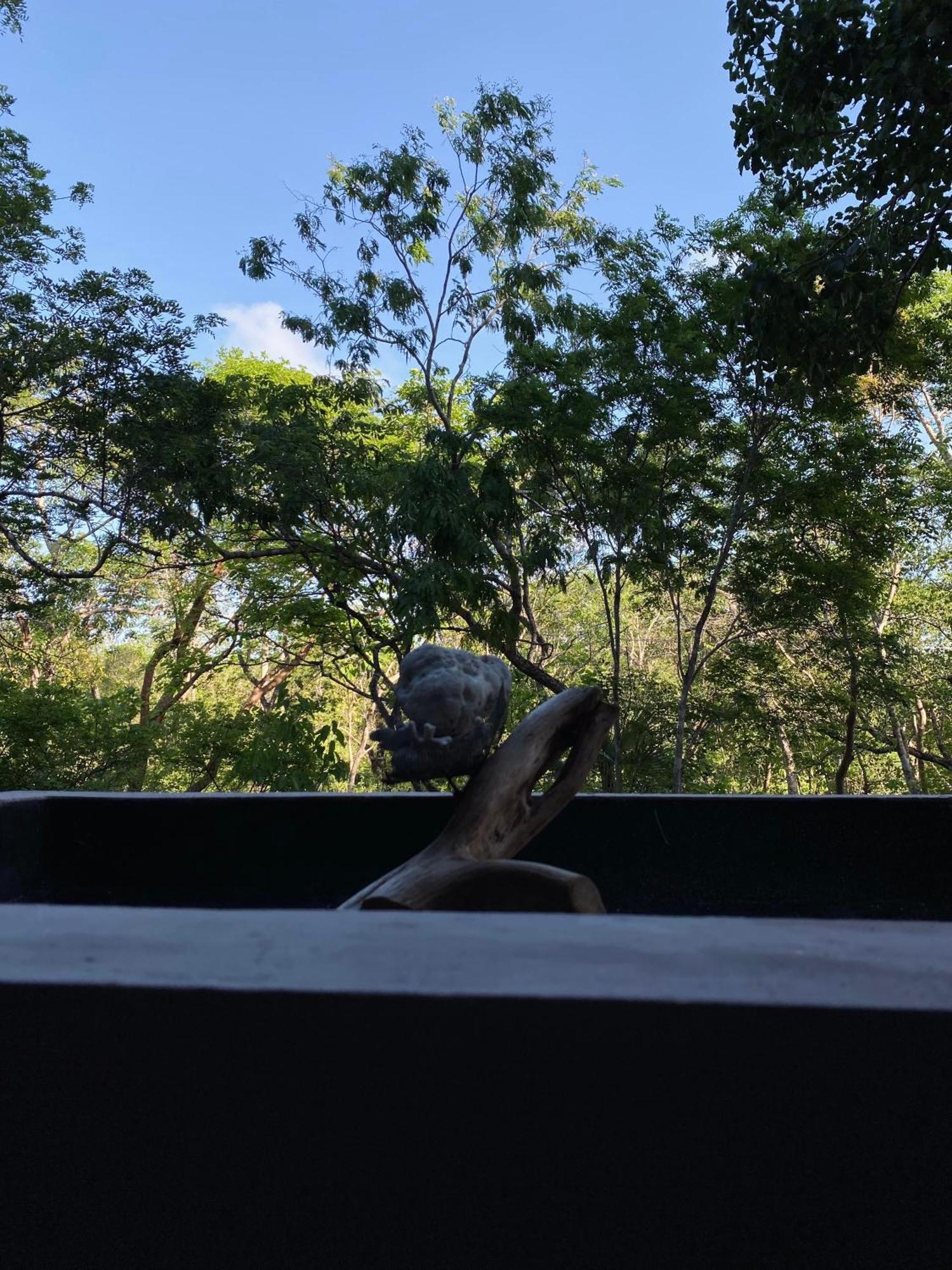 La Veleta Modern Jungle Living Apartamento