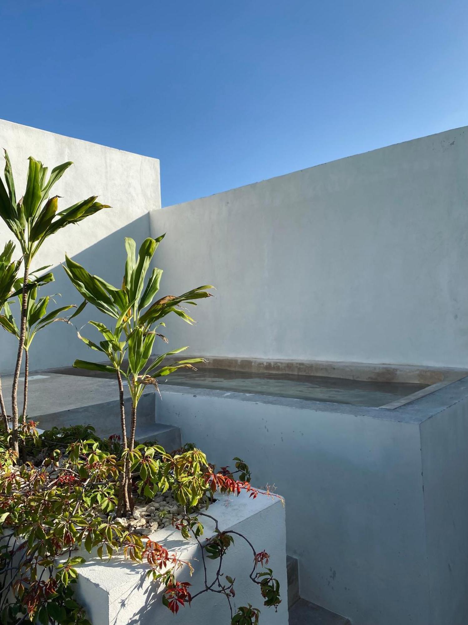 Apartment La Veleta Modern Jungle Living